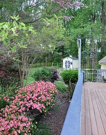 3rd image of 7366 Pembrooke Ct