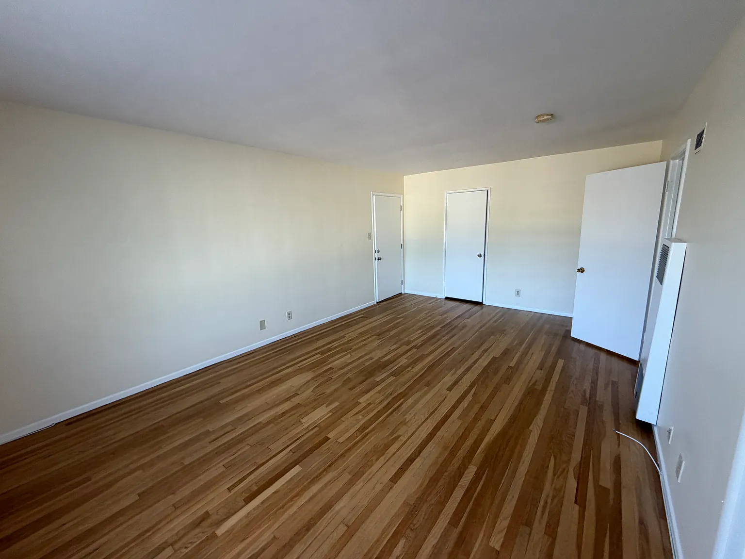 Large Studio Apartment — Photo 4