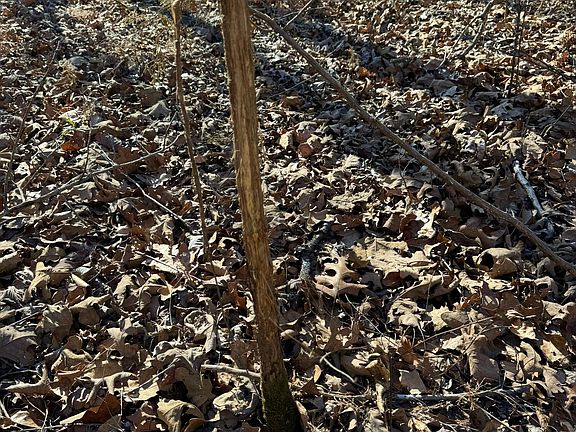 5th image of 000 Hart Road