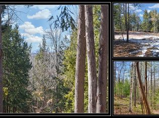 L15 Mountain Meadows Rd, Pottersville, NY 12860