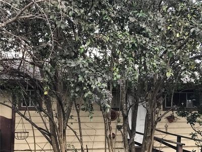 3313 Merrie Lynn Ave, Austin, TX, 78722