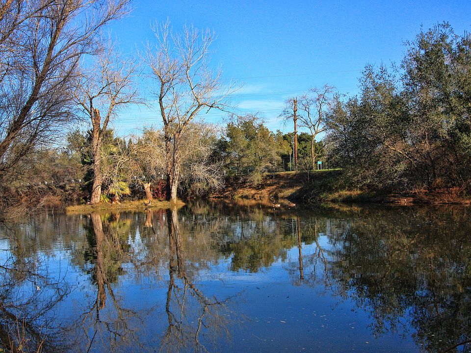 Pond behind the house
