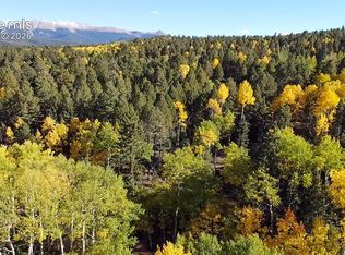 714 Will Stutley Dr, Divide, CO 80814