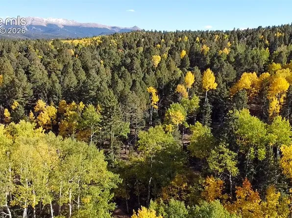 714 Will Stutley Dr, Divide, CO 80814