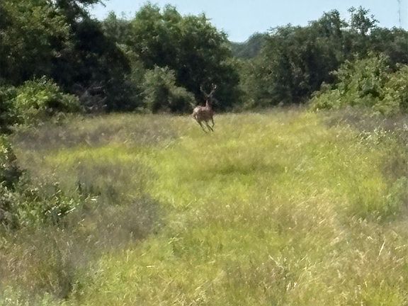 5th image of 169360 N 2850th Rd