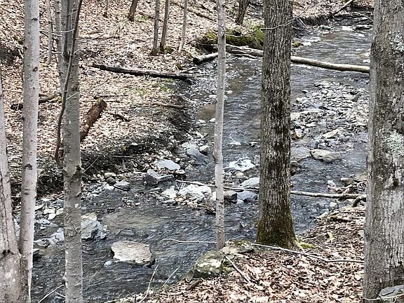 3rd image of 1882 Fairbanks Rd