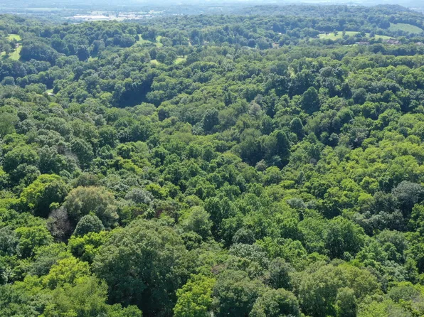 0 Strawberry Gables Lot 2, Holladay, TN 38341