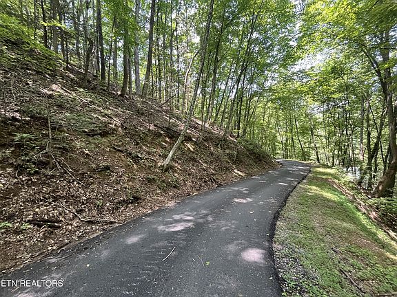 4th image of 334 Ridgefield Dr Lot 334