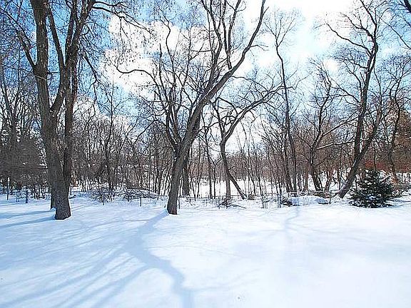 Beautiful wooded backdrop