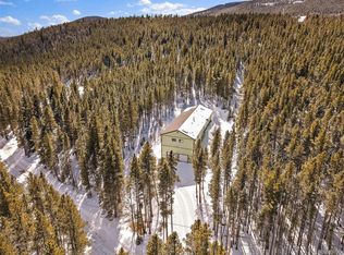 68 Elk Way, Idaho Springs, CO 80452