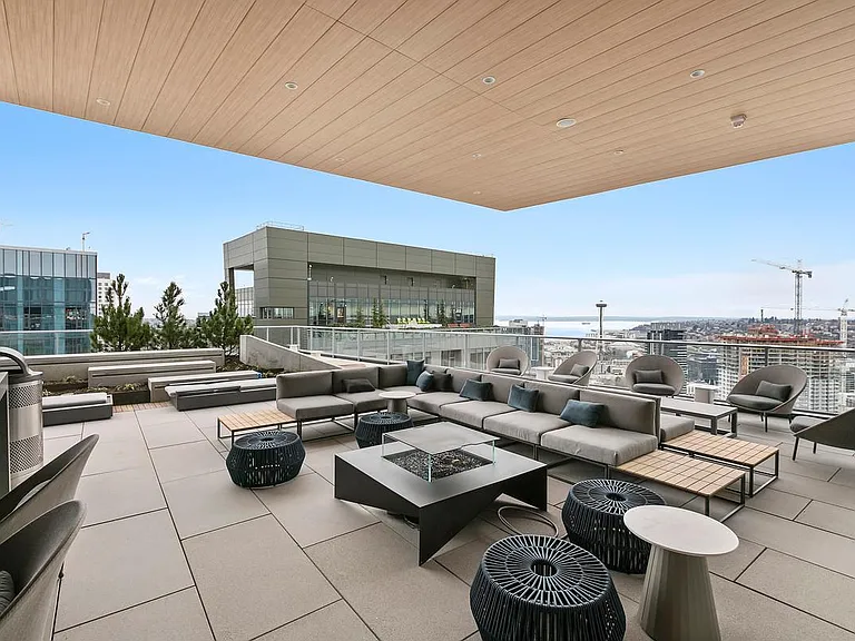 Roof -Top Terrace - this is just one section of the roof-top overlooking South Lake Union.