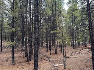 945 Cedar Dr, Leadville, CO 80461