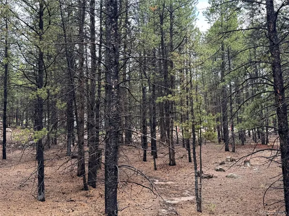 945 Cedar Drive, Leadville, CO 80461