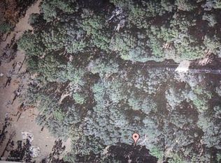 1520 Old Dinefield Rd, Middleburg, FL 32068