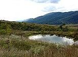 4th image of Clear Fork Road