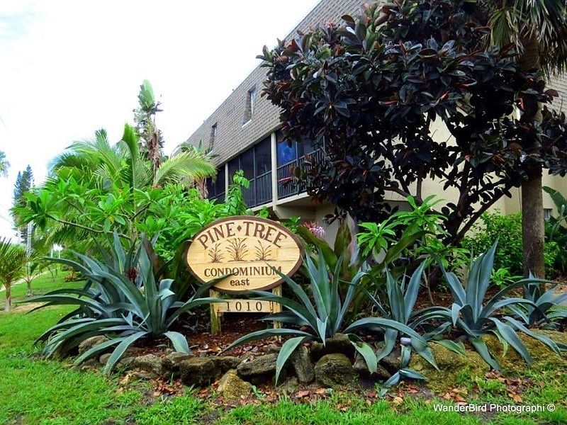 1st image of 1010 Pine Tree Dr #204