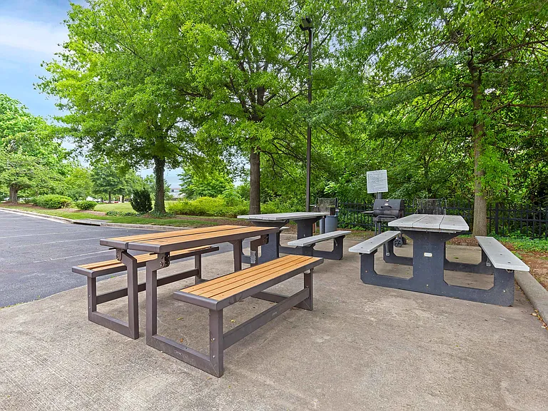 Picnic Area