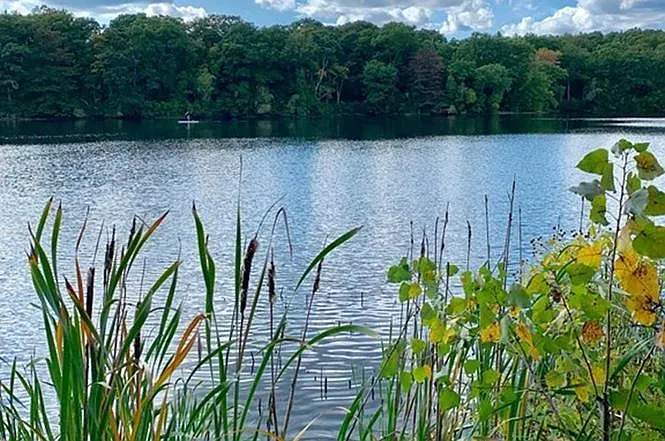 The pond