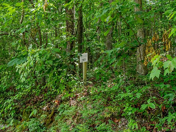 2nd image of 4521 Huffine Rd