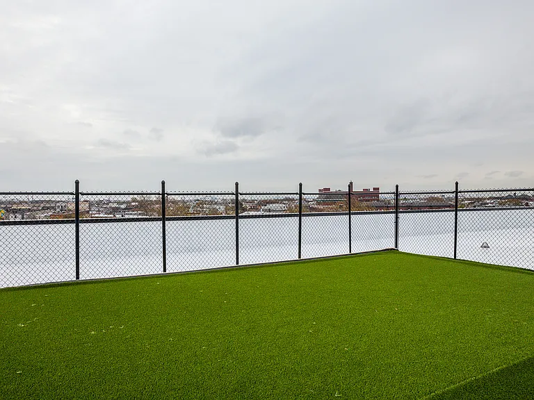 Knox at 100 Polk — Photo 16