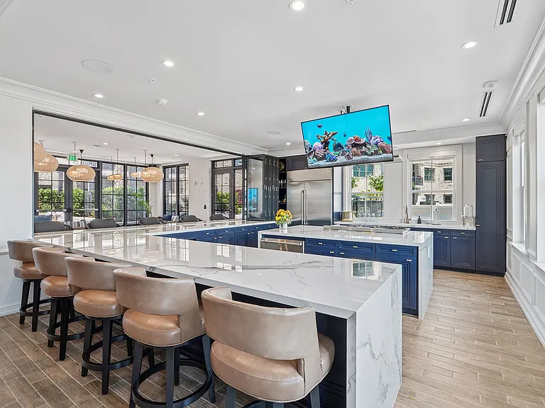 Society Blue Palm Kitchen and Bar
