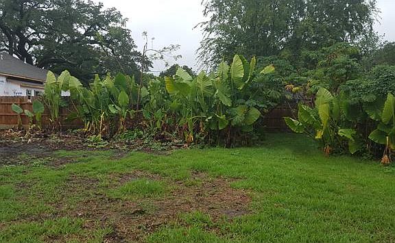 3rd image of 4516 South Dr