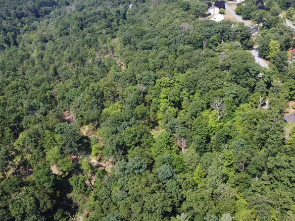 PARCEL-148A Longview Dr, Williamsport, PA 17701
