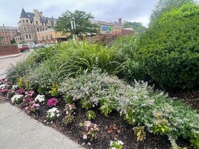 1731 Beacon St APT 809, Brookline, MA, 02445