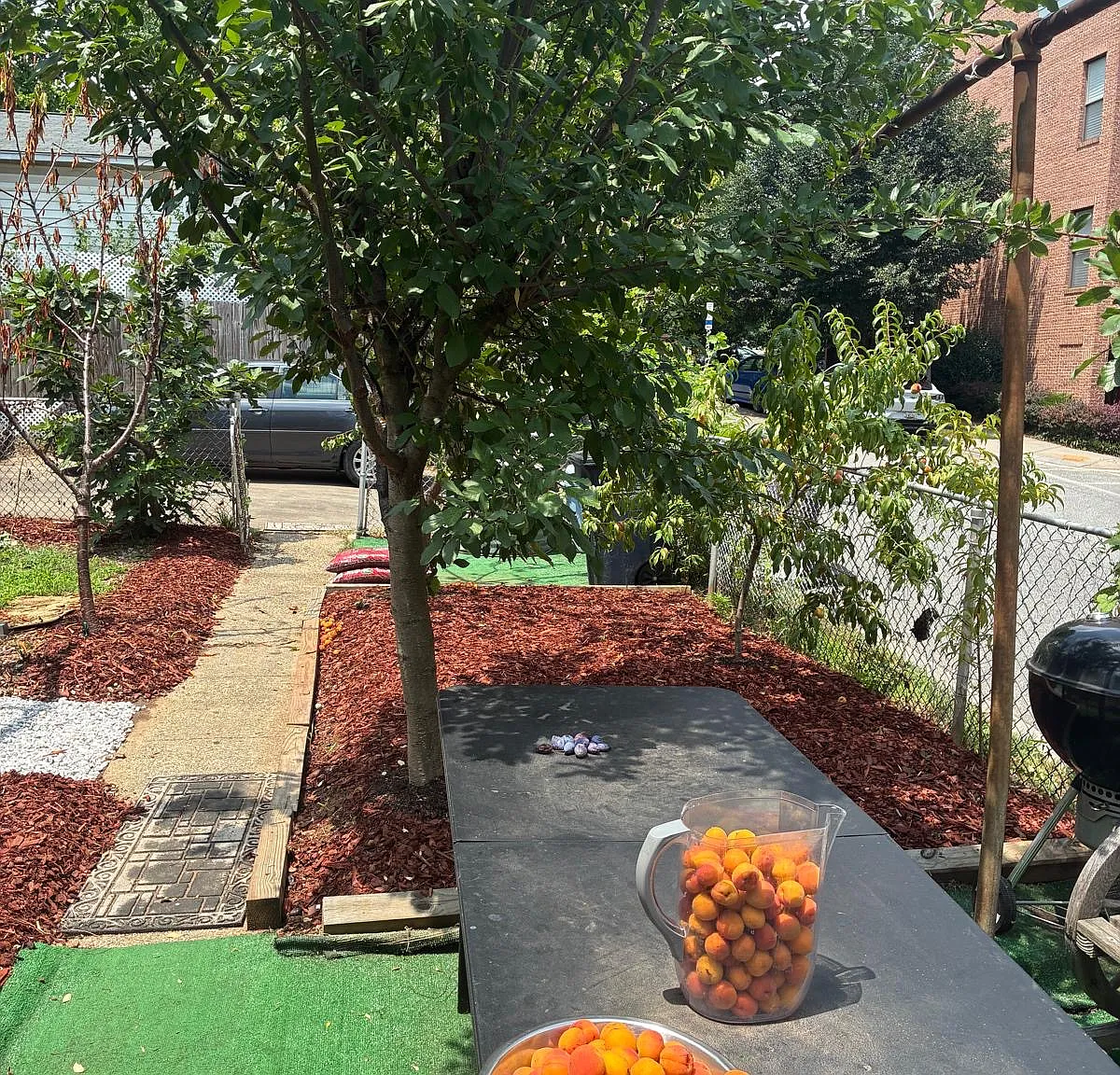 4 bed, $2,950 — Photo 3
