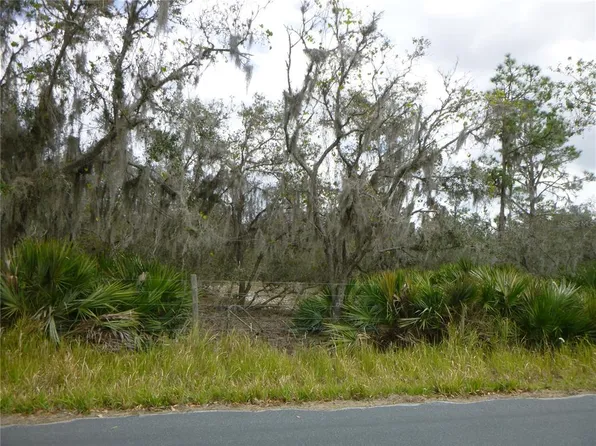0 Gabriel Rd, Fort Meade, FL 33841