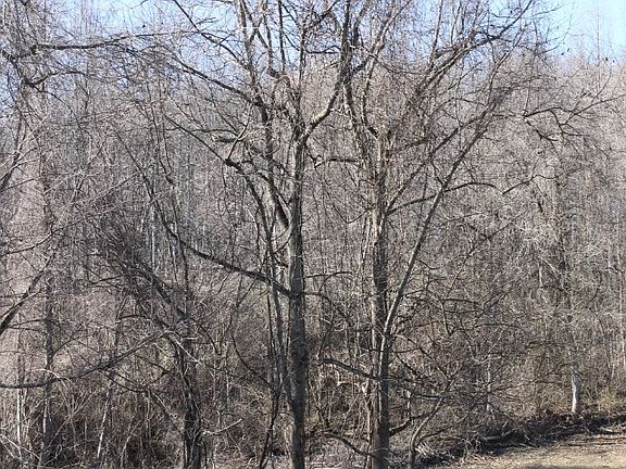 2nd image of Trs 1 2 17410 Self Hill Dr