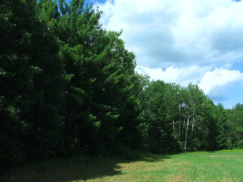 2nd image of River Pines Drive