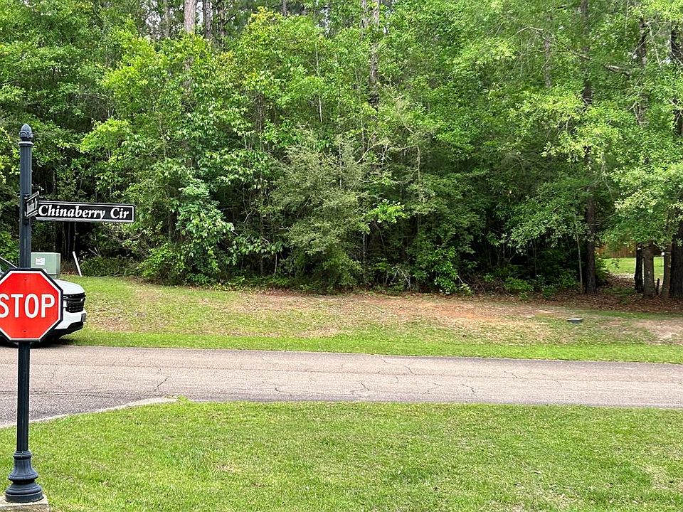 1st image of 0 China Berry Cir
