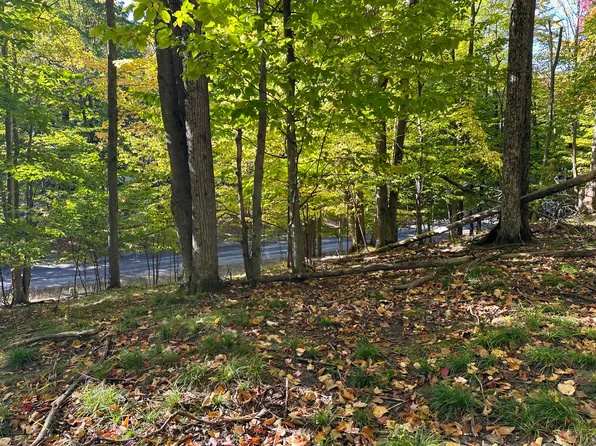 115 Doepath Pl, Gaylord, MI 49735