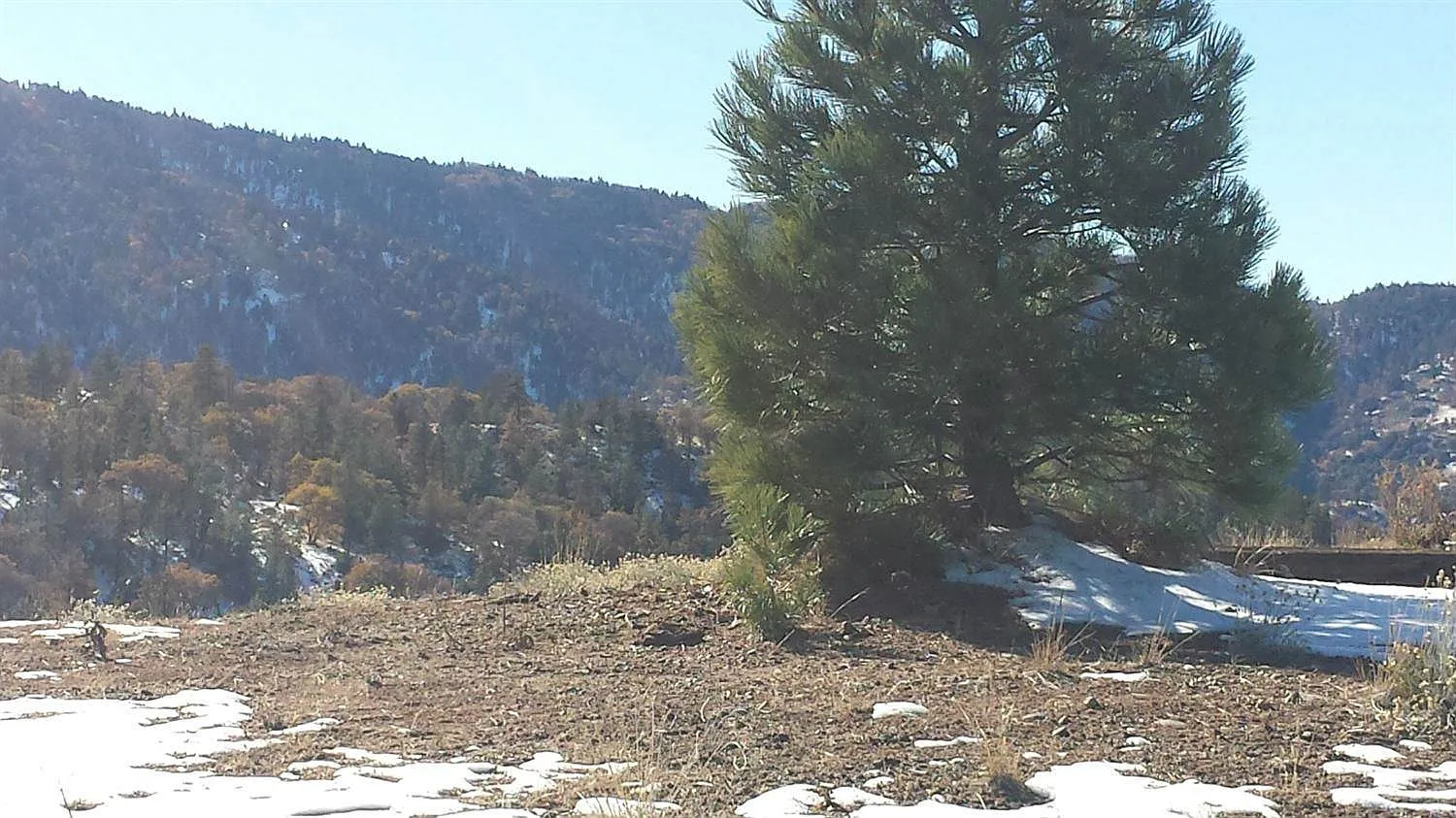17060 Matterhorn Dr photo 1