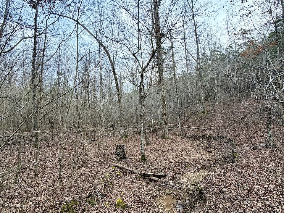 22nd image of 1 Roan Creek Rd