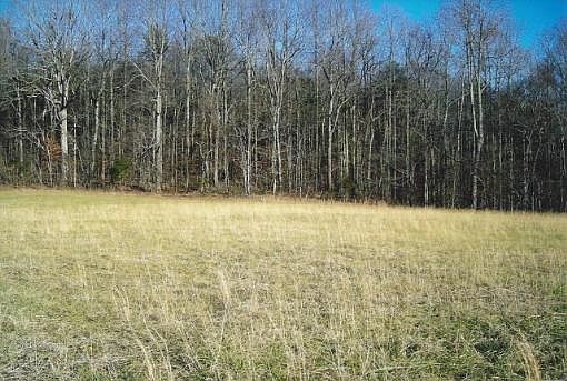1st image of 185 Wagon Trail Ln