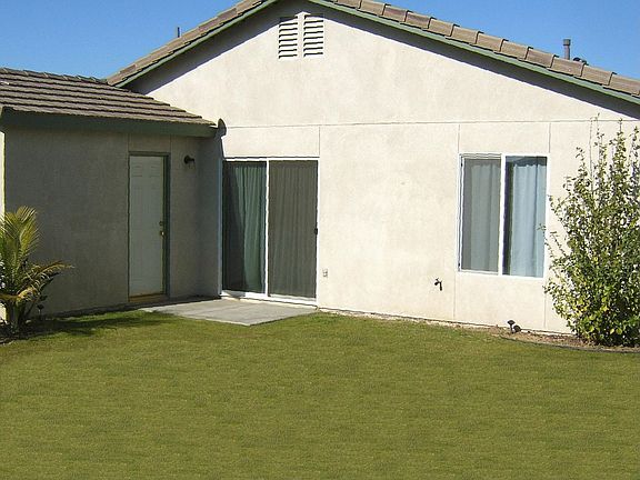 Back yard