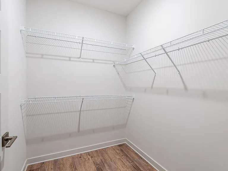 Hickory Model Primary Closet