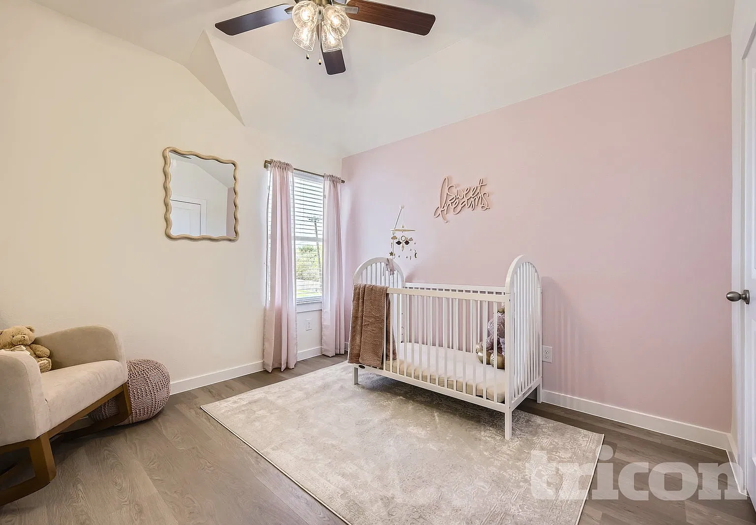 205 Lily Pad Drive Arlington TX — Photo 4