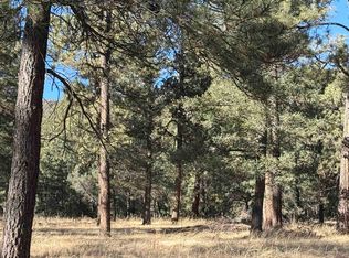 0 Bell Canyon Rd, Cloudcroft, NM 88317