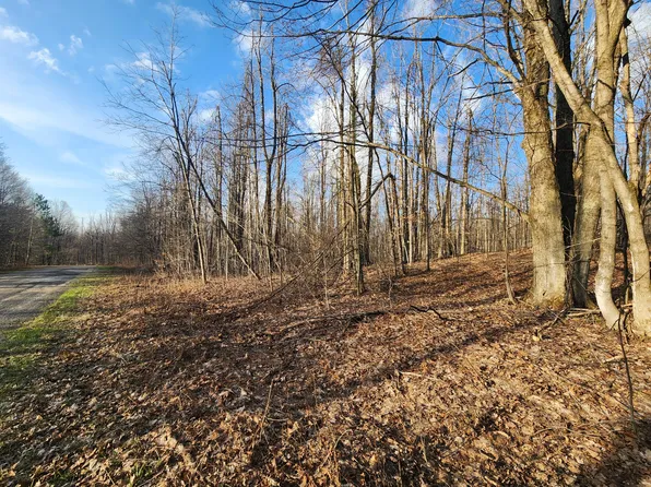 Valleyridge Cir, Alba, MI 49611