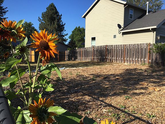 Huge Community Garden
