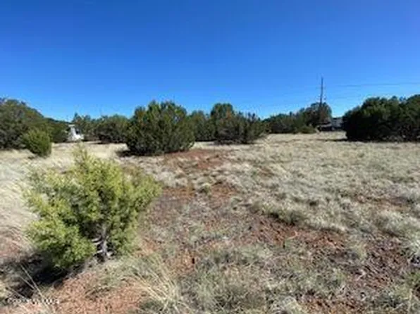 8533 Canyon Dr, Show Low, AZ 85901