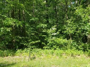 19105 Joslin Cir, Big Rapids, MI 49307