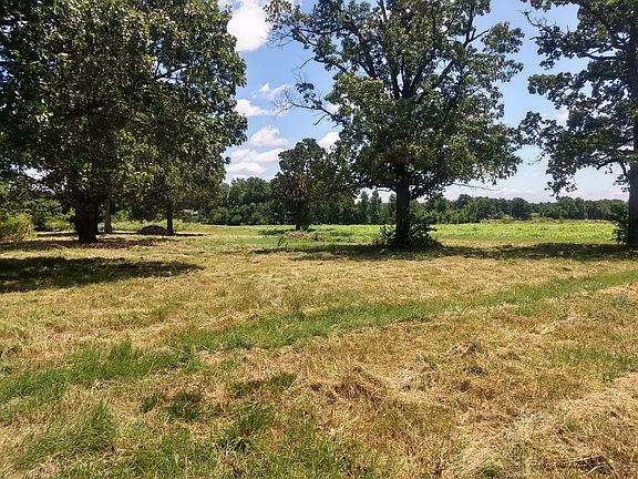building site large treees