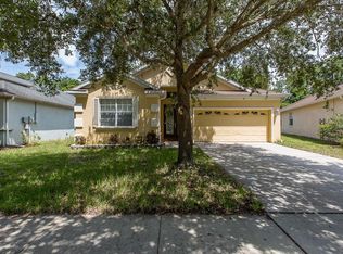 10909 Tree Cactus Loop, Land O Lakes, FL 34638