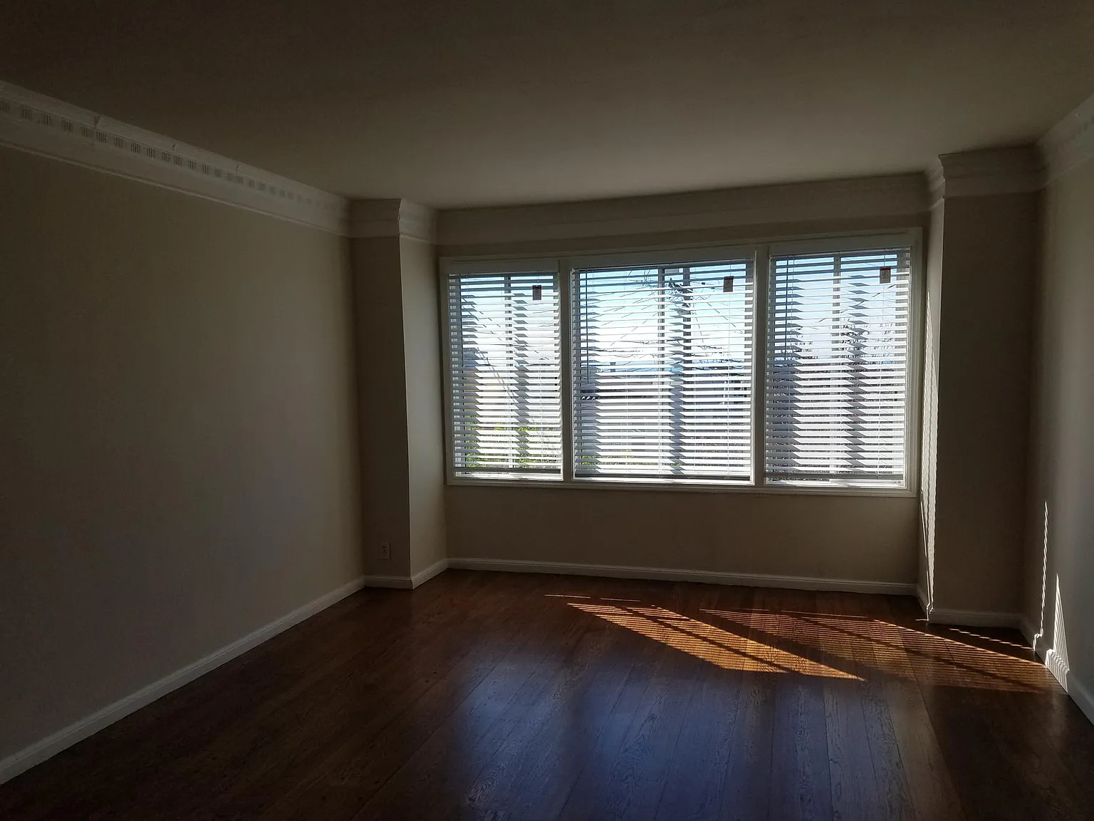 3 bed, $4,900 — Photo 2