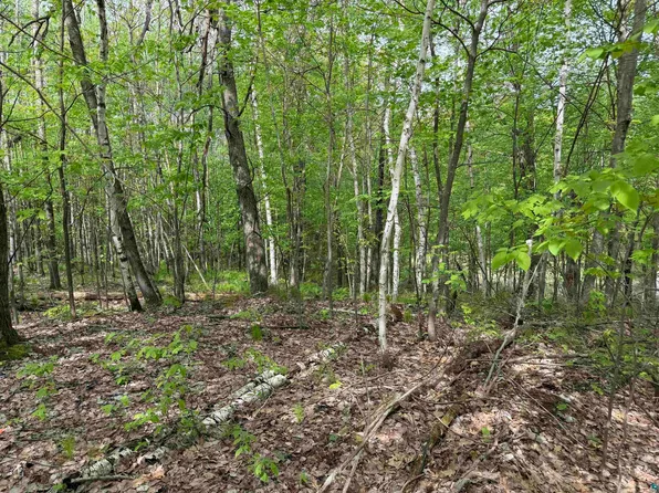 LOT 4 S Peterson Rd, Minong, WI 54859