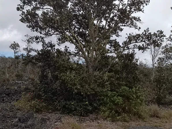 Iwalani Pkwy Lot 11, Captain Cook, HI 96704